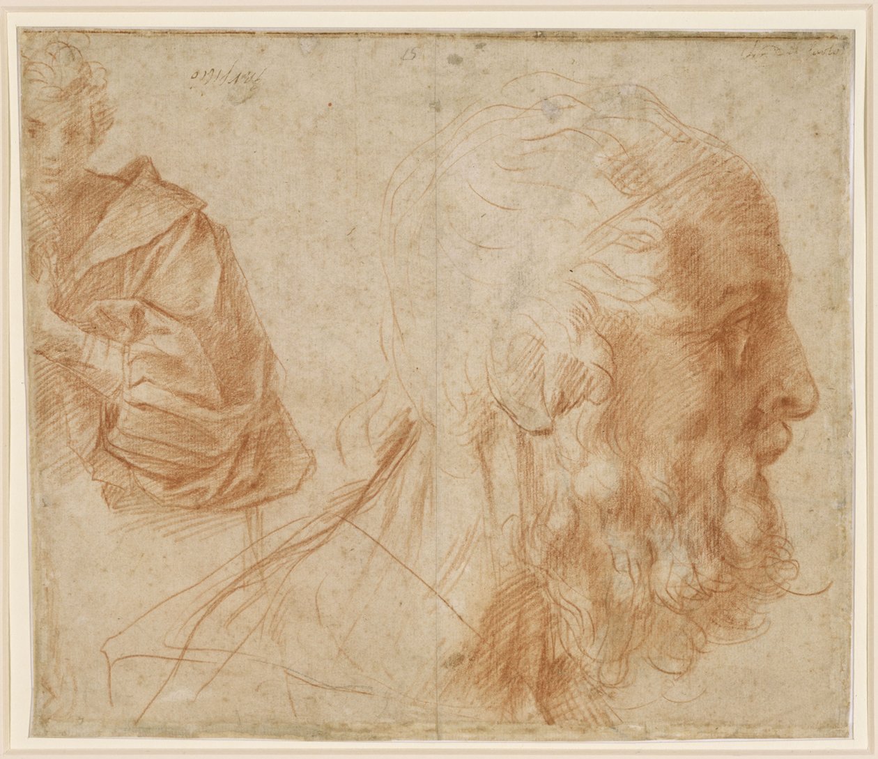Studieteckning föreställande en ung man med en gammal mans huvud, vänd åt höger (Homer) av Andrea del Sarto