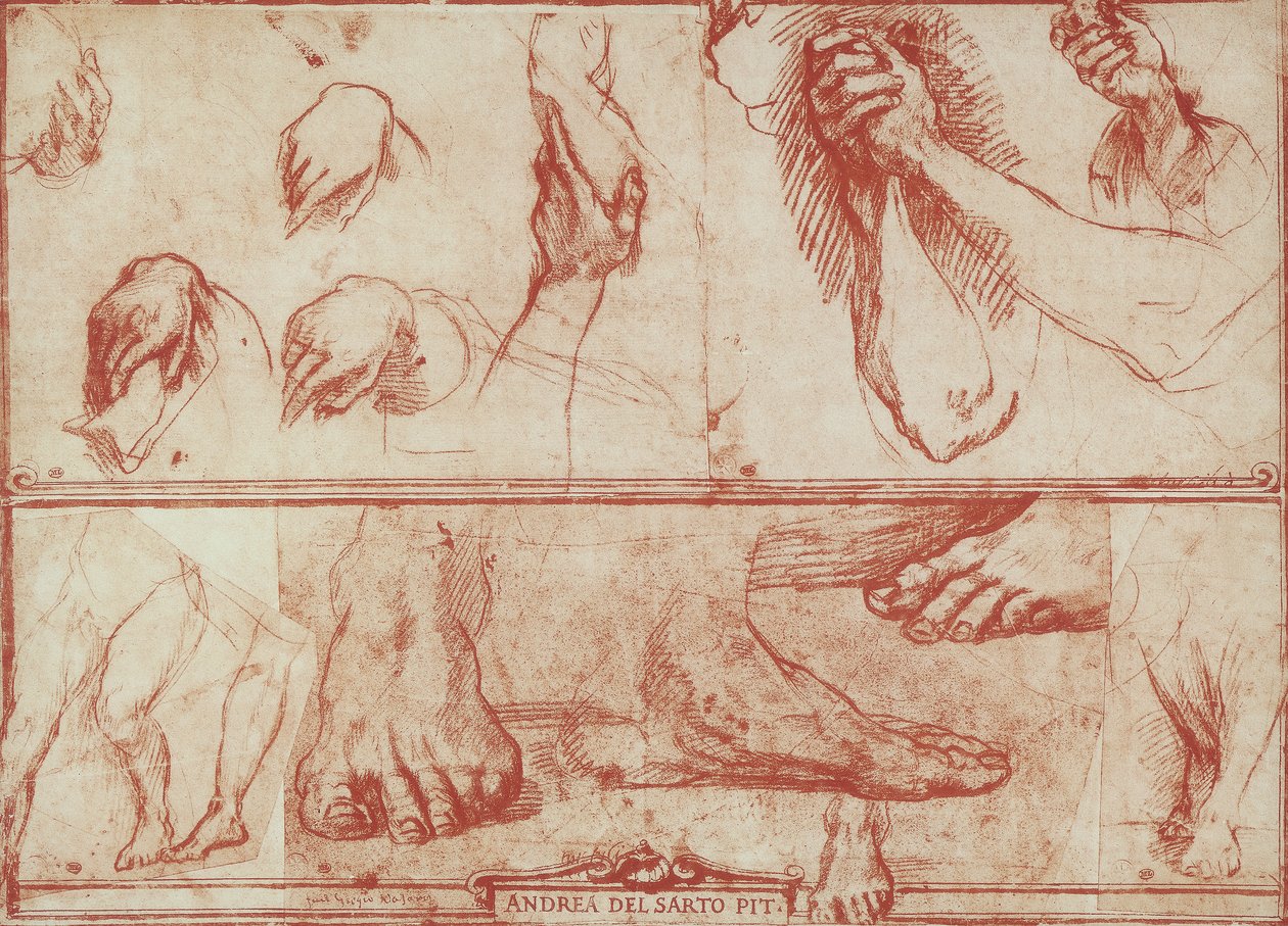 Studie av händer och fötter för den sista måltiden i San Salvi av Andrea del Sarto
