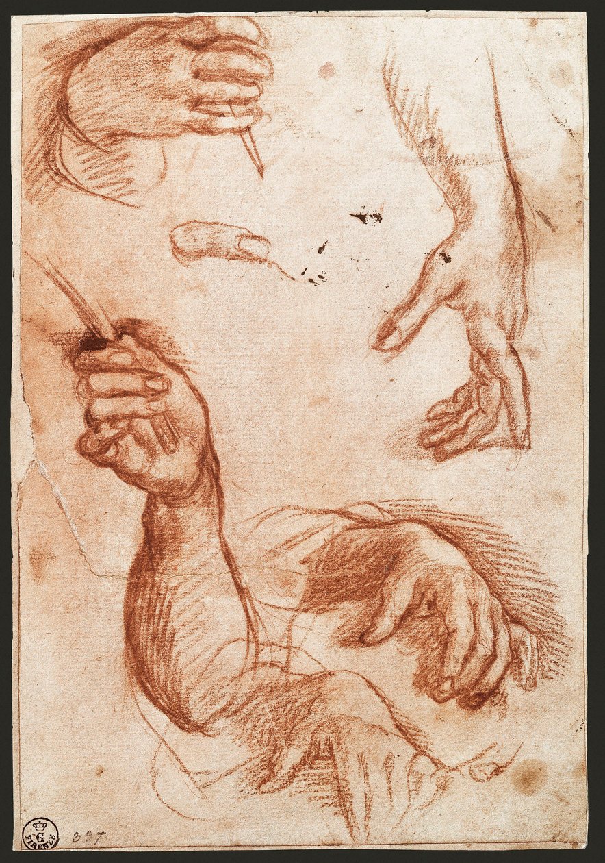 "Studie av händer" ritkol (kol) av Andrea del Sarto