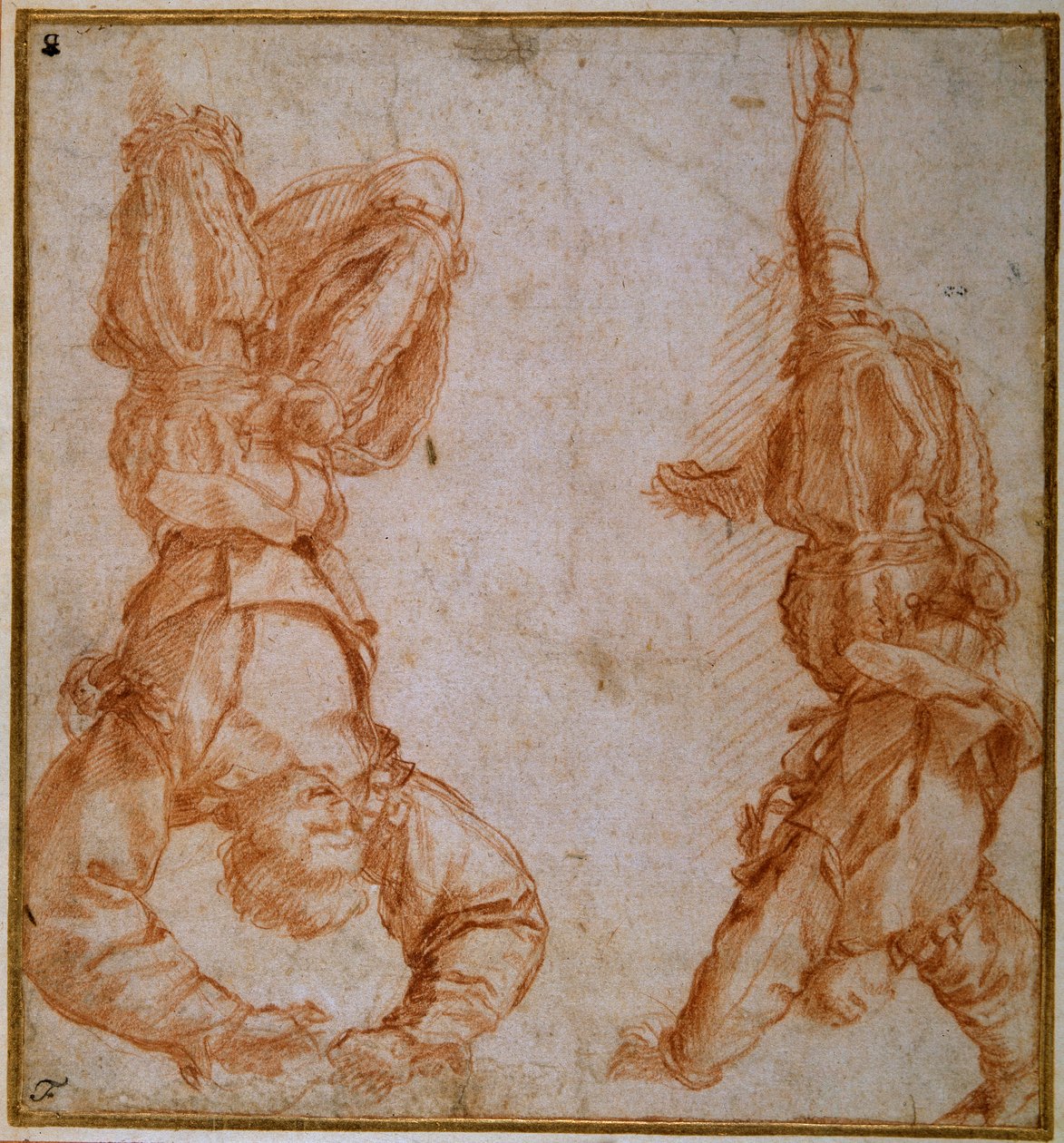 Två studier av en man upphängd i sitt vänstra ben (röd krita på krämpapper) av Andrea del Sarto