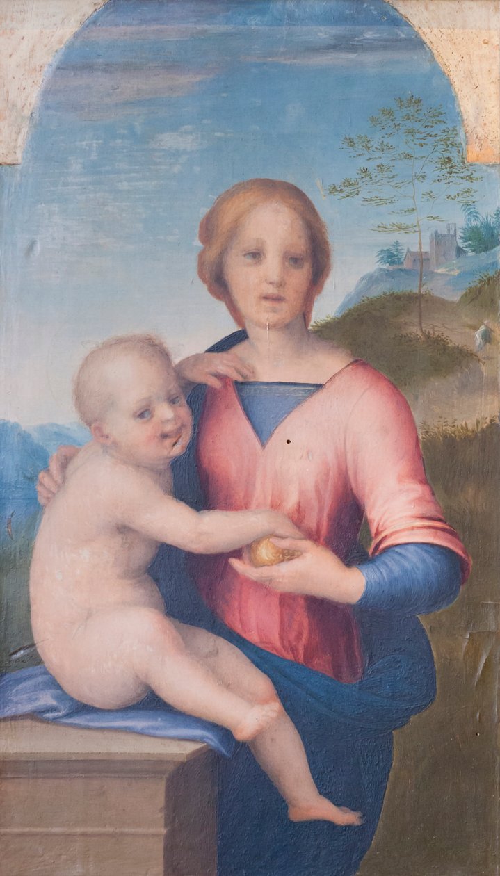 Virgin and Child (olja på trä) av Andrea del Sarto