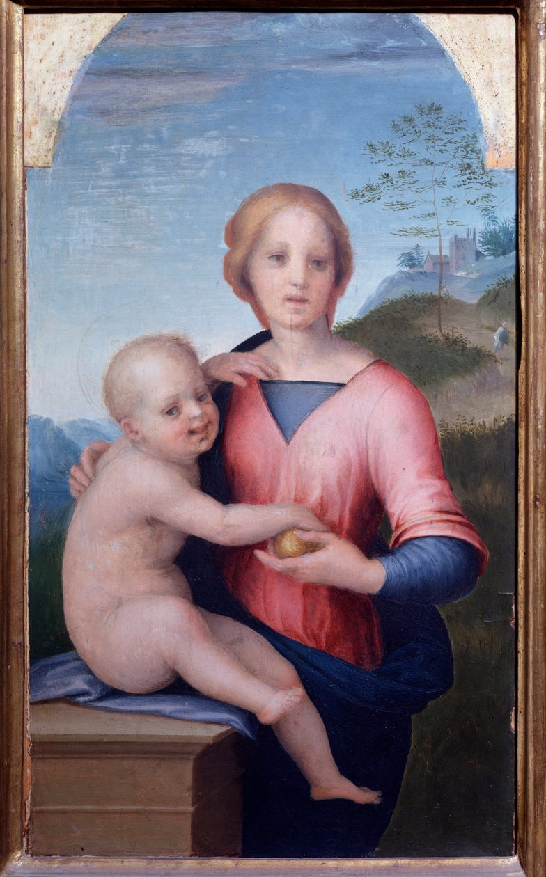 Jungfru med barn (målning av Andrea del Sarto