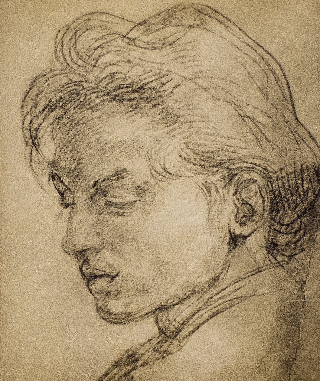 Virilt huvud i profil av Andrea del Sarto