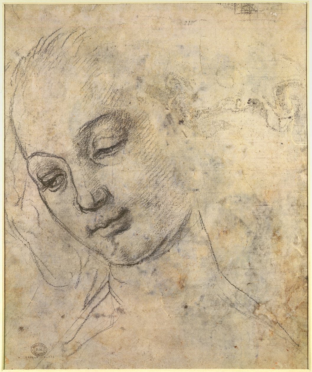 Porträtt av ett kvinnligt huvud (svart krita på papper) av Andrea del Verrocchio