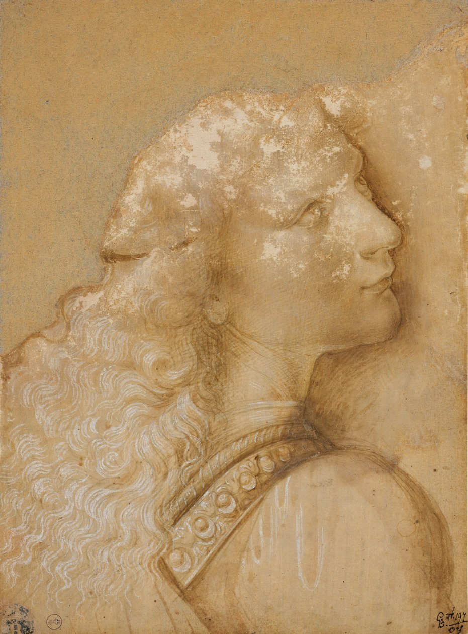 Byst av en ung man, studera för ängeln av "Kristi dop" av Verrocchio, ca. 1475 (metallspets, ockra akvarell och vitt bläck på förberett papper ljus ockra) av Andrea del Verrocchio