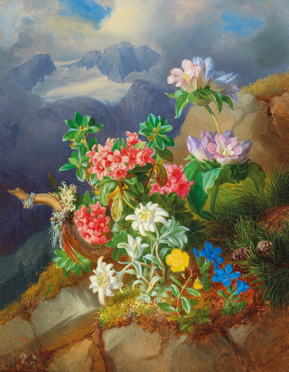 Alpina blommor av Andreas Lach