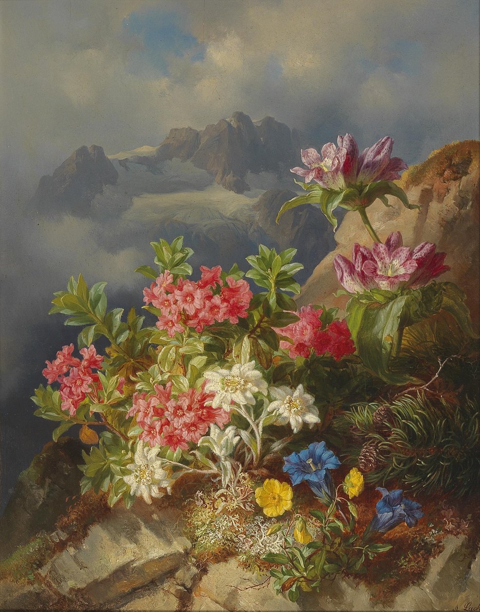 Stilleben med alpblommor av Andreas Lach
