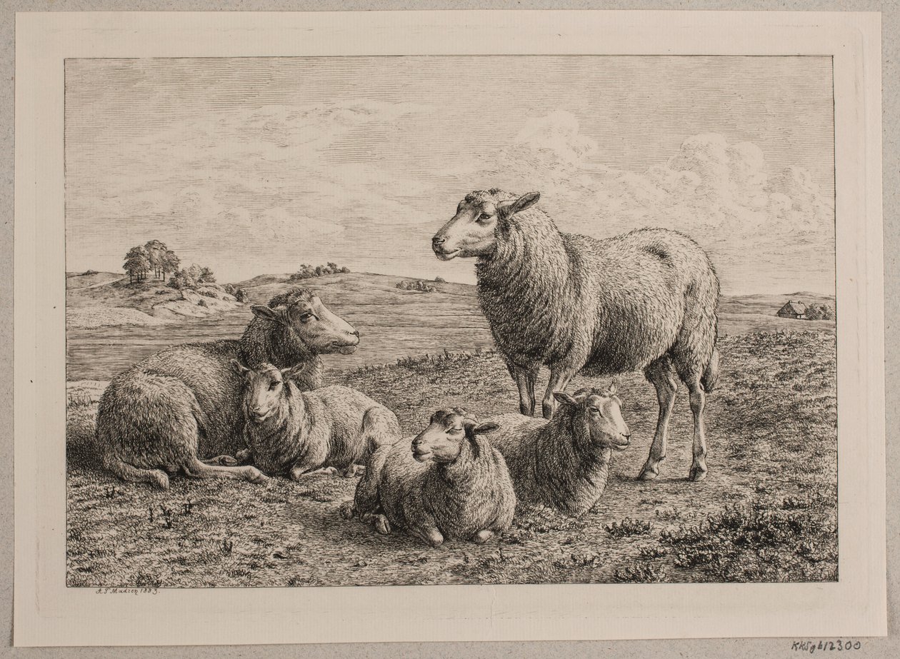 Får och lamm på fältet av Andreas Peter Madsen
