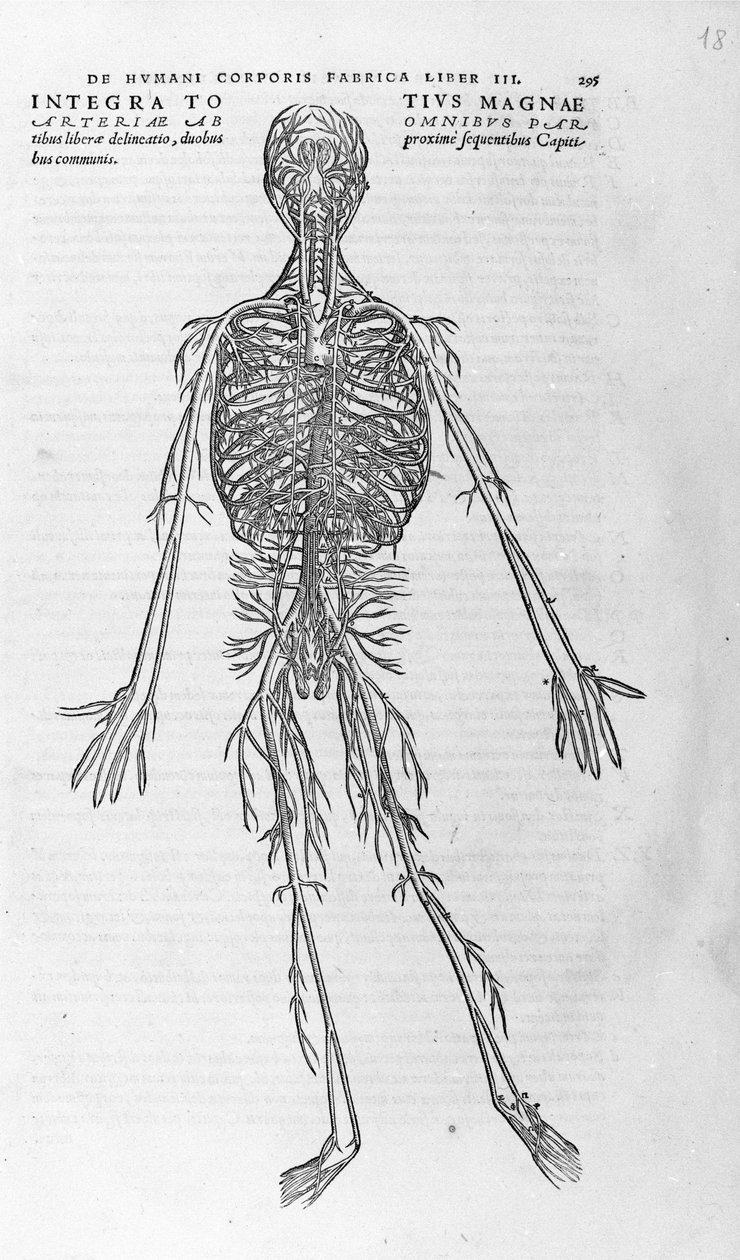 Andrea Vesalio (1514 - 1564), läkare för Karl V av Andreas Vesalius