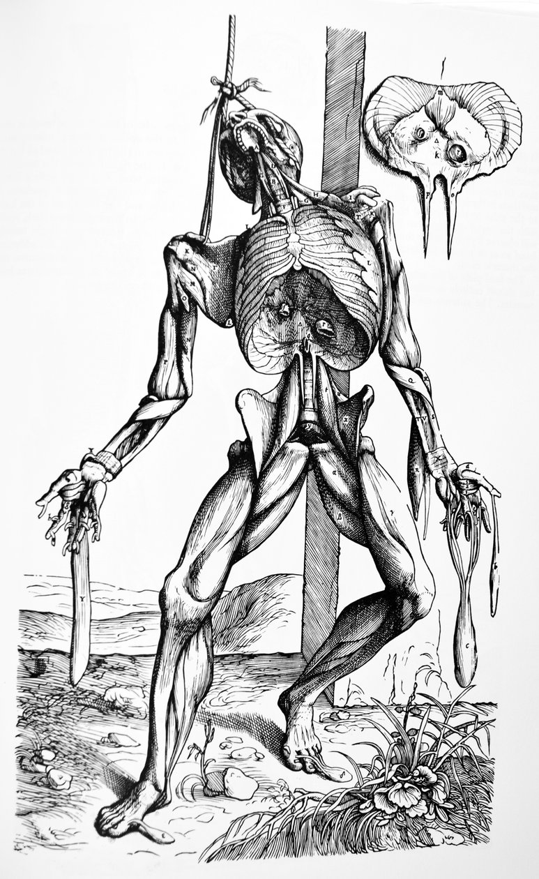 Plattorna från den andra boken i De Humani Corporis Fabrica av Andreas Vesalius