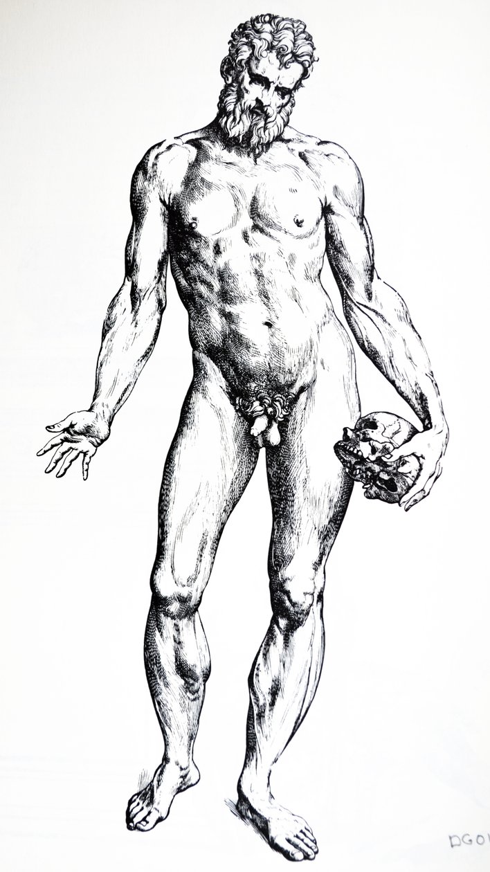 Tallrikarna från den sjunde boken av De Humani Corporis Fabrica av Andreas Vesalius