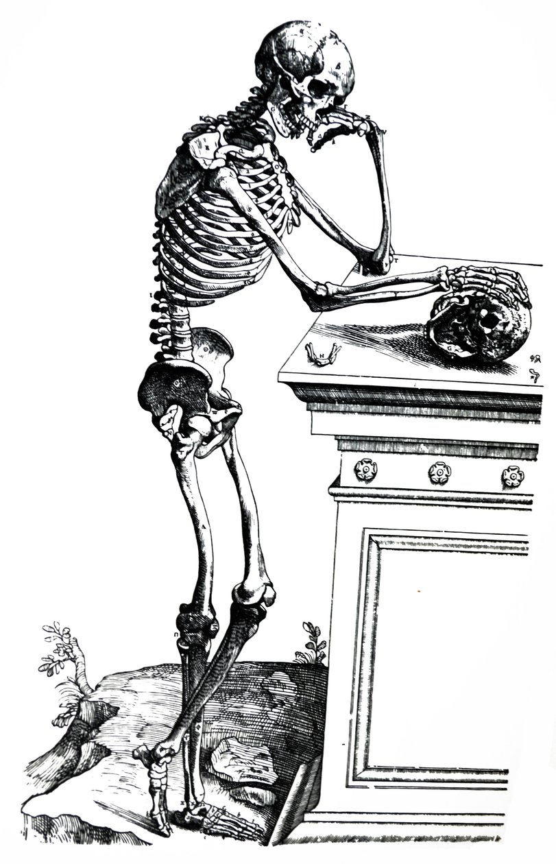 Tallrikarna från den sjunde boken av De Humani Corporis Fabrica av Andreas Vesalius