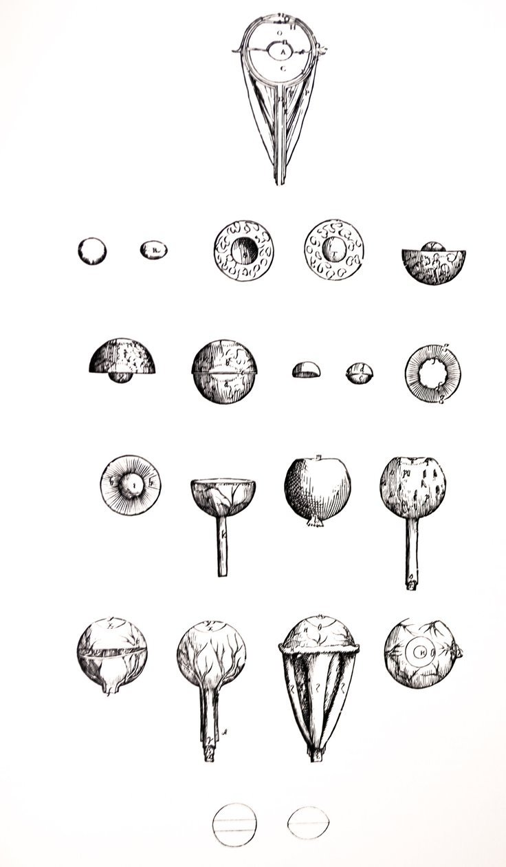 Tallrikarna från den sjunde boken av De Humani Corporis Fabrica av Andreas Vesalius