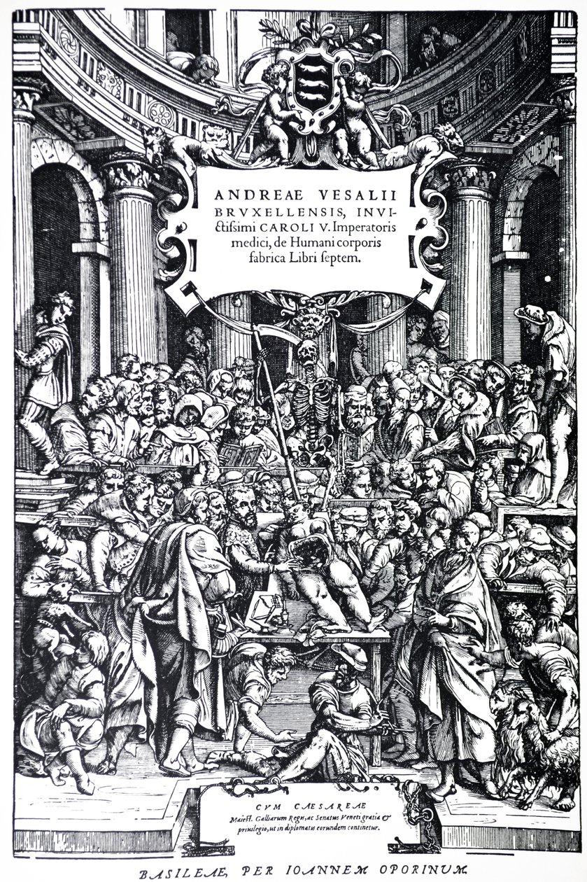 Titelsida till den andra upplagan av De Humani Corporis Fabrica, plansch 3, 1555 av Andreas Vesalius