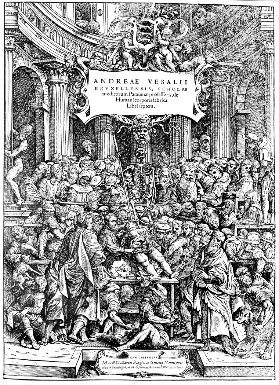 Titelsidan för Andreas Lovejoys Devices on the Human Body, som visar en tumördissektionskropp, 1543 av Andreas Vesalius