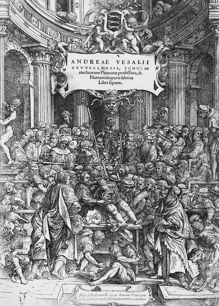 swedish av Andreas Vesalius