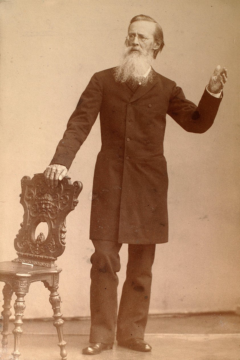 Apollon Maykow, rysk poet, sent 1800-tal av Andrei Deniere