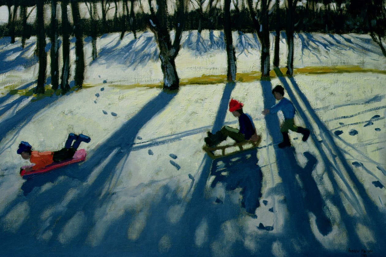 Boys Sledging, Allestree Park, Derby av Andrew Macara