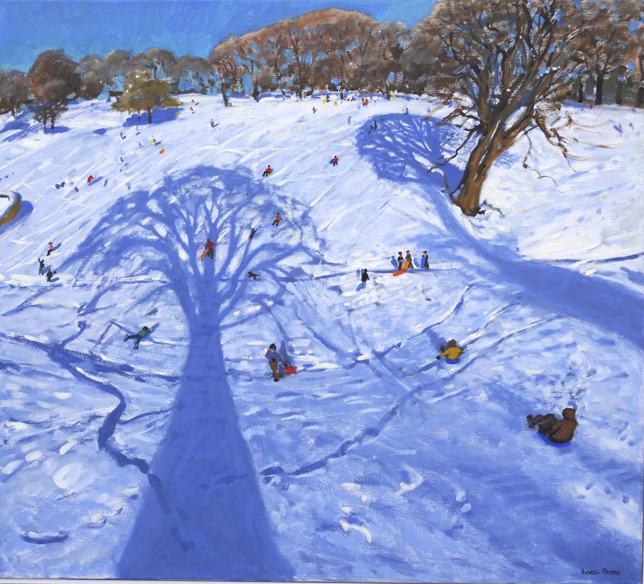 Chatsworth, vinterträdskuggor, 2013, av Andrew Macara