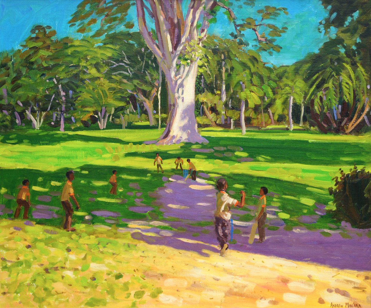 Cricketmatch, Botaniska trädgården, Dominica, Grenadinerna. 2011, av Andrew Macara