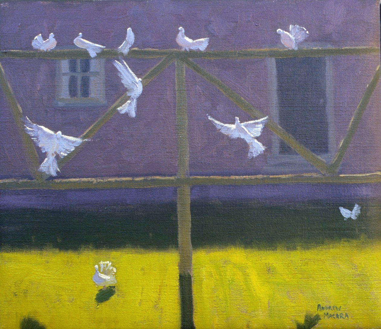 Duvor, 1999 av Andrew Macara