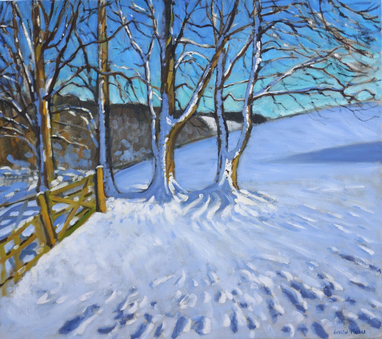 Grind och träd,vinter,Dam Lane,Derbyshire,2013, av Andrew Macara