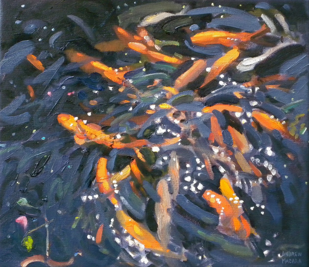 Guldfisk, 2010 av Andrew Macara
