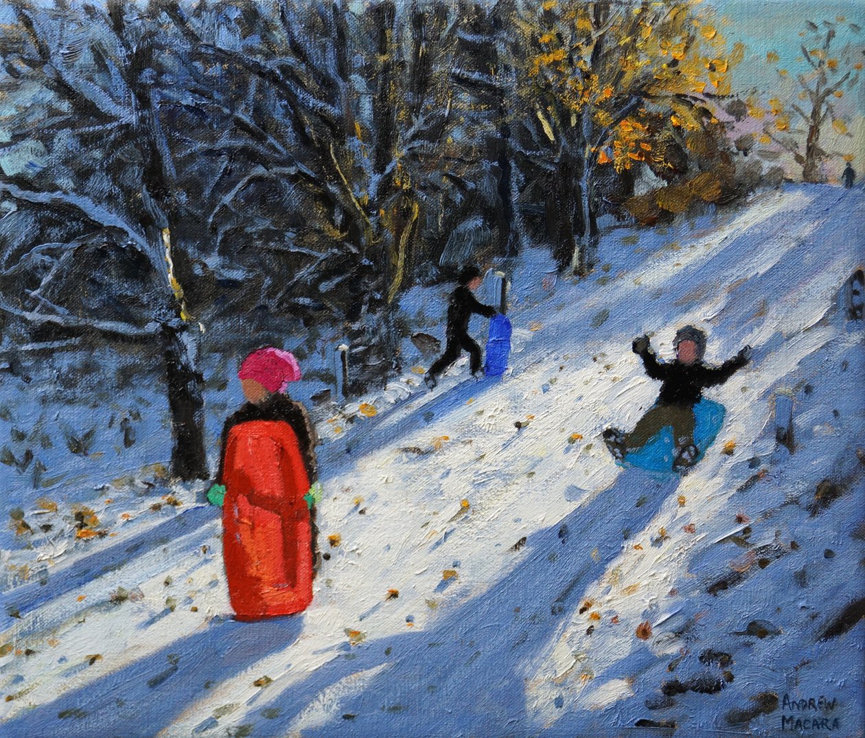 Röd släde, Allestree Park Derby. 2014 av Andrew Macara