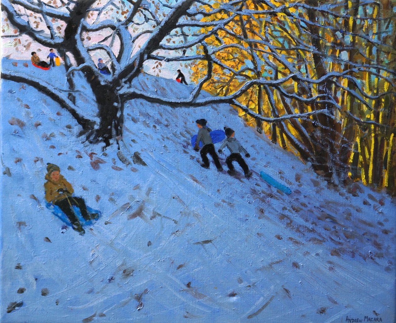 Sledging Allestree Golfbana (3:e hålet) 2014 av Andrew Macara