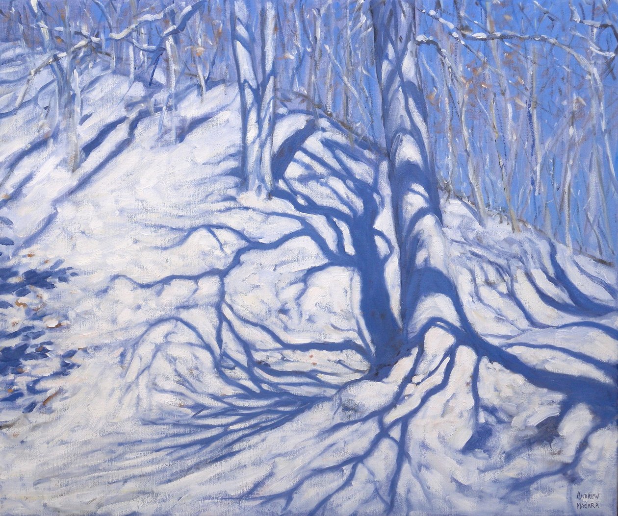 Vinterskog, nära Courcheval, 2008 av Andrew Macara