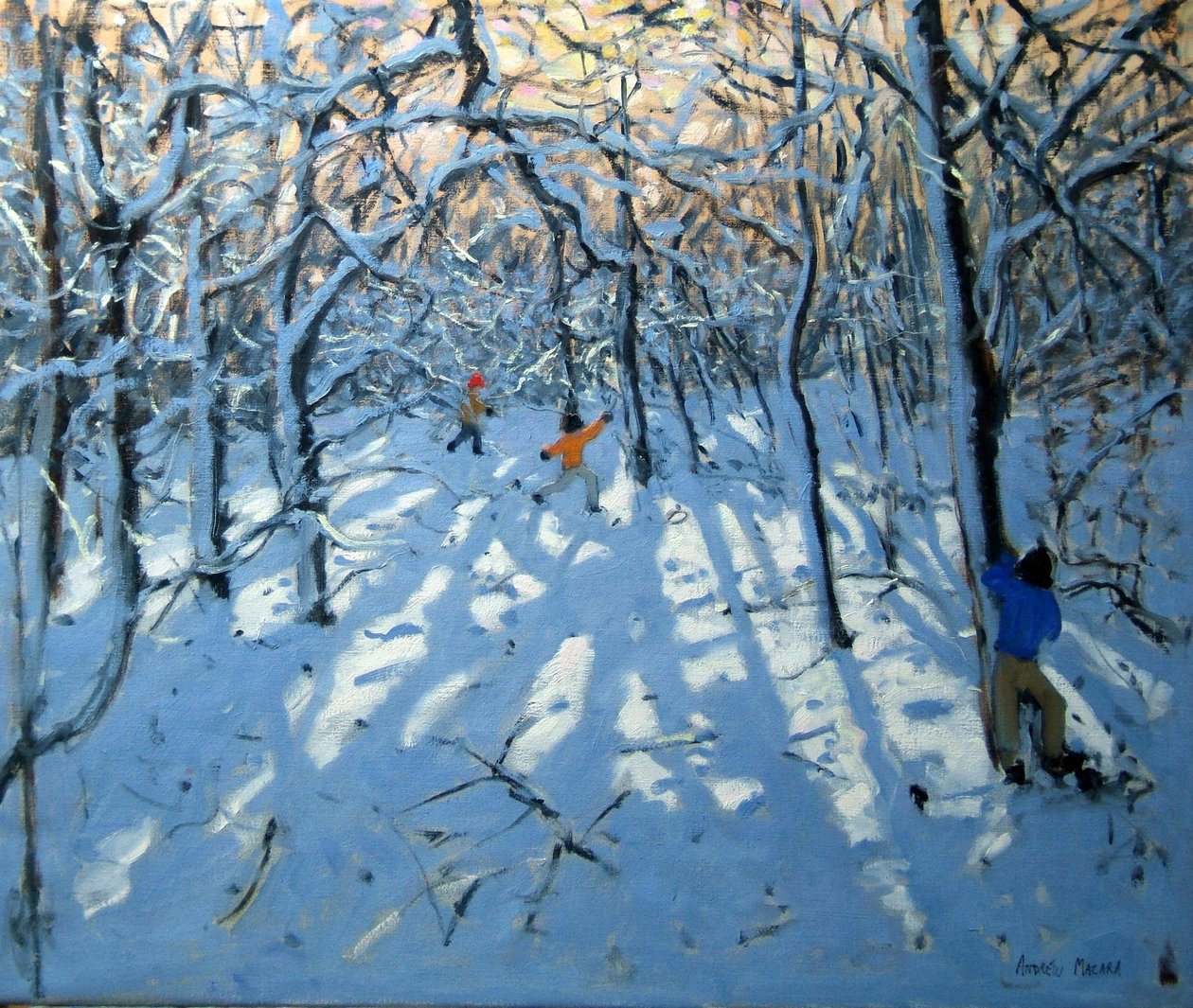 Vinterskog, nära Newhaven, Derbyshire av Andrew Macara