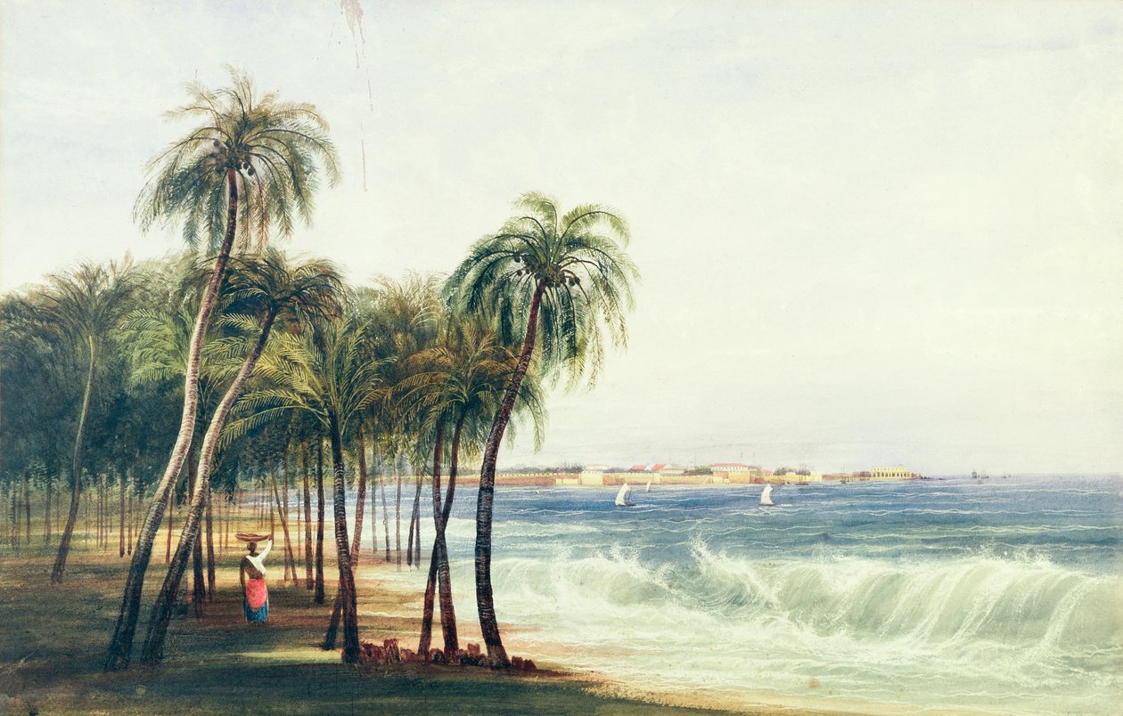 Utsikt över Colombo, Ceylon av Andrew Nicholl