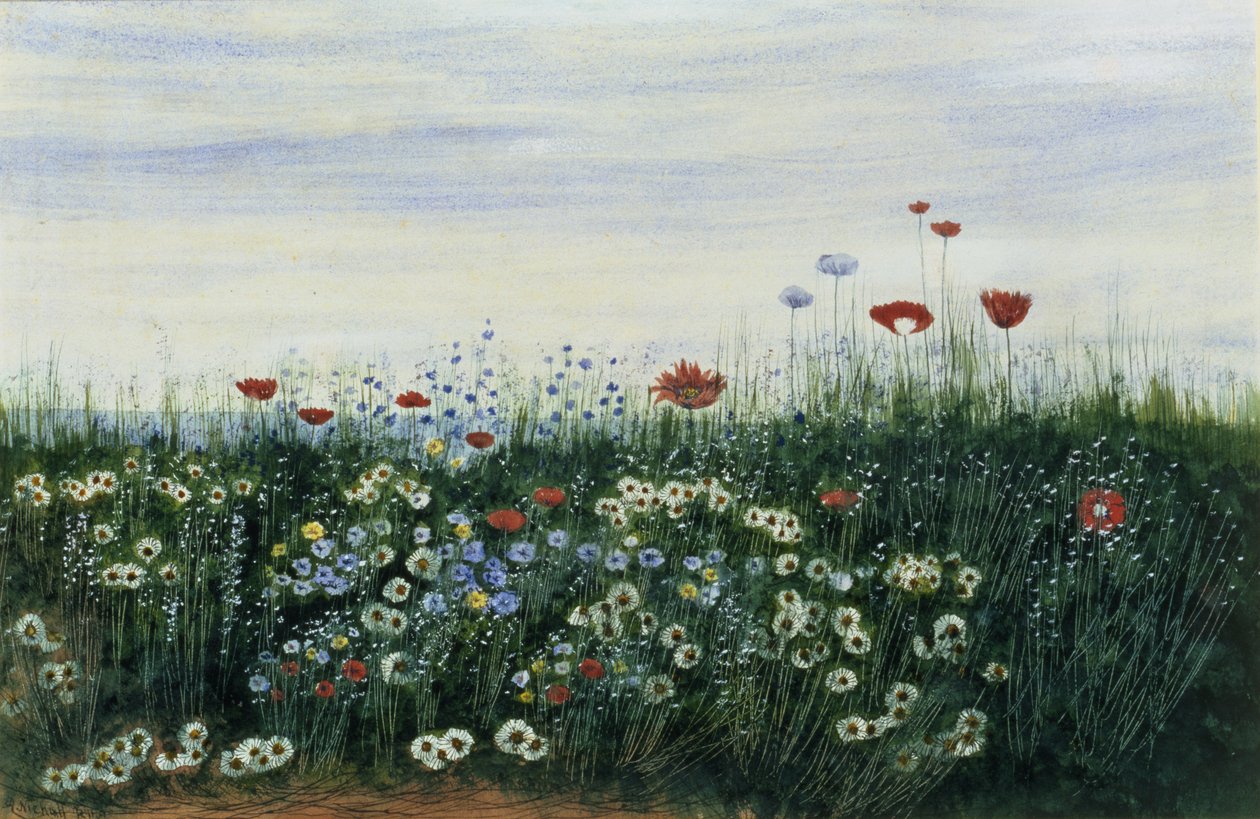 Vallmo, tusenskönor och andra blommor vid havet (par 85963) av Andrew Nicholl