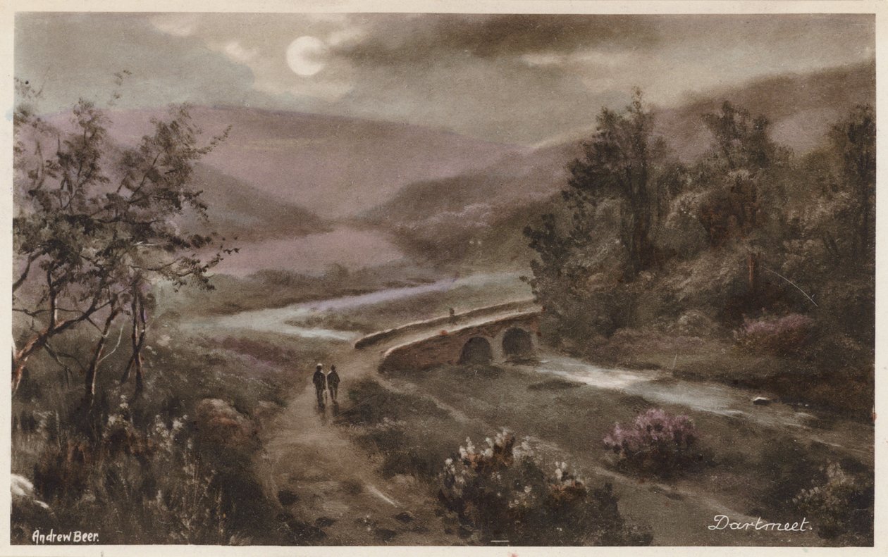 Dartmoor: Dartmeet (färgfoto) av Andrew Beer