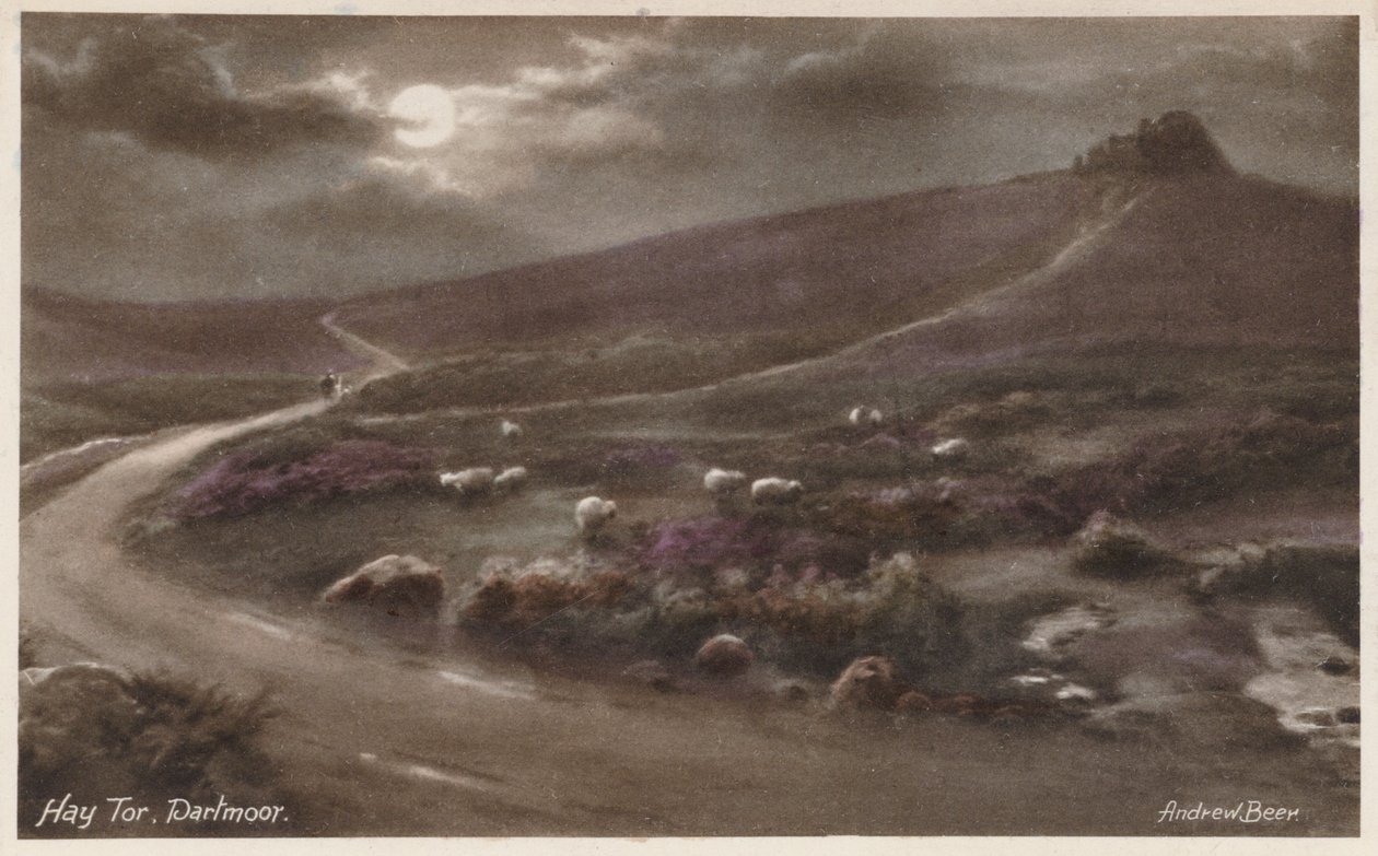 Hay Tor, Dartmoor (färgfoto) av Andrew Beer