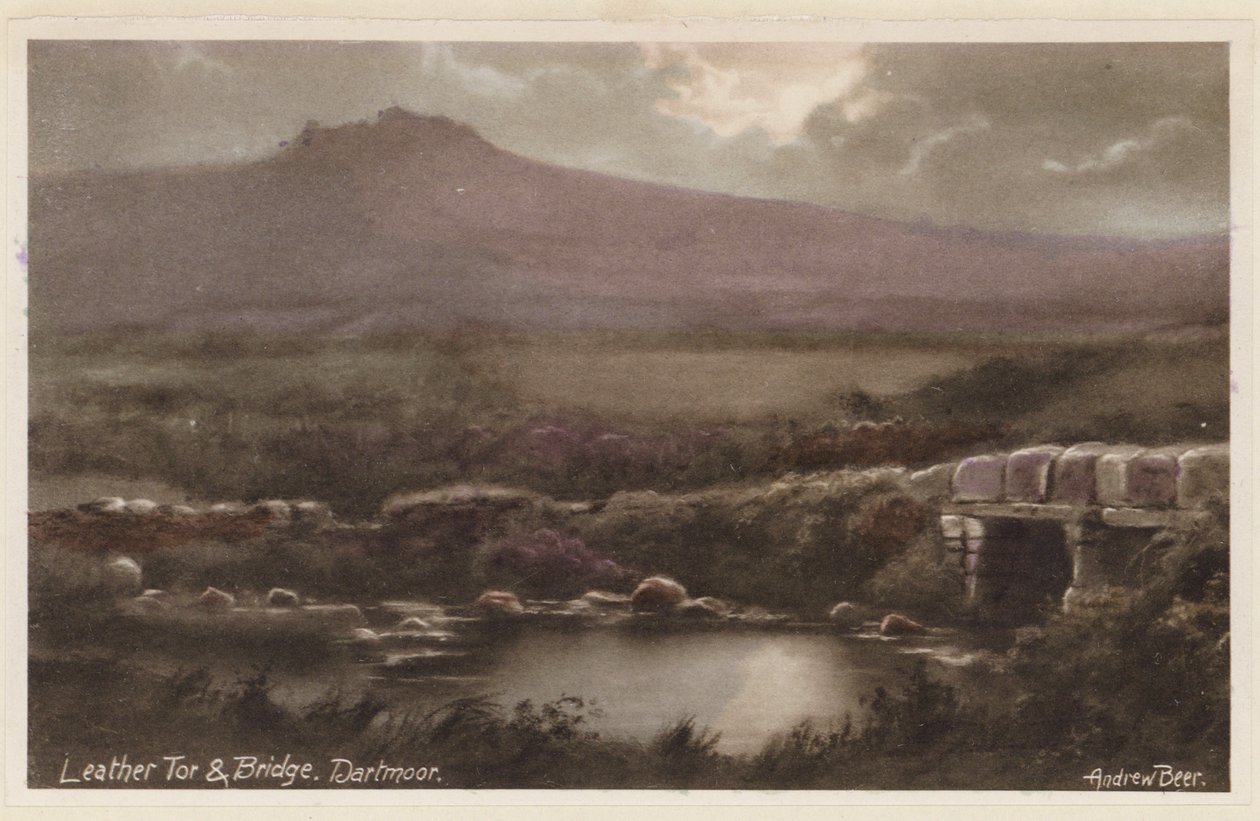 Leather Tor och Bridge, Dartmoor (färgfoto) av Andrew Beer