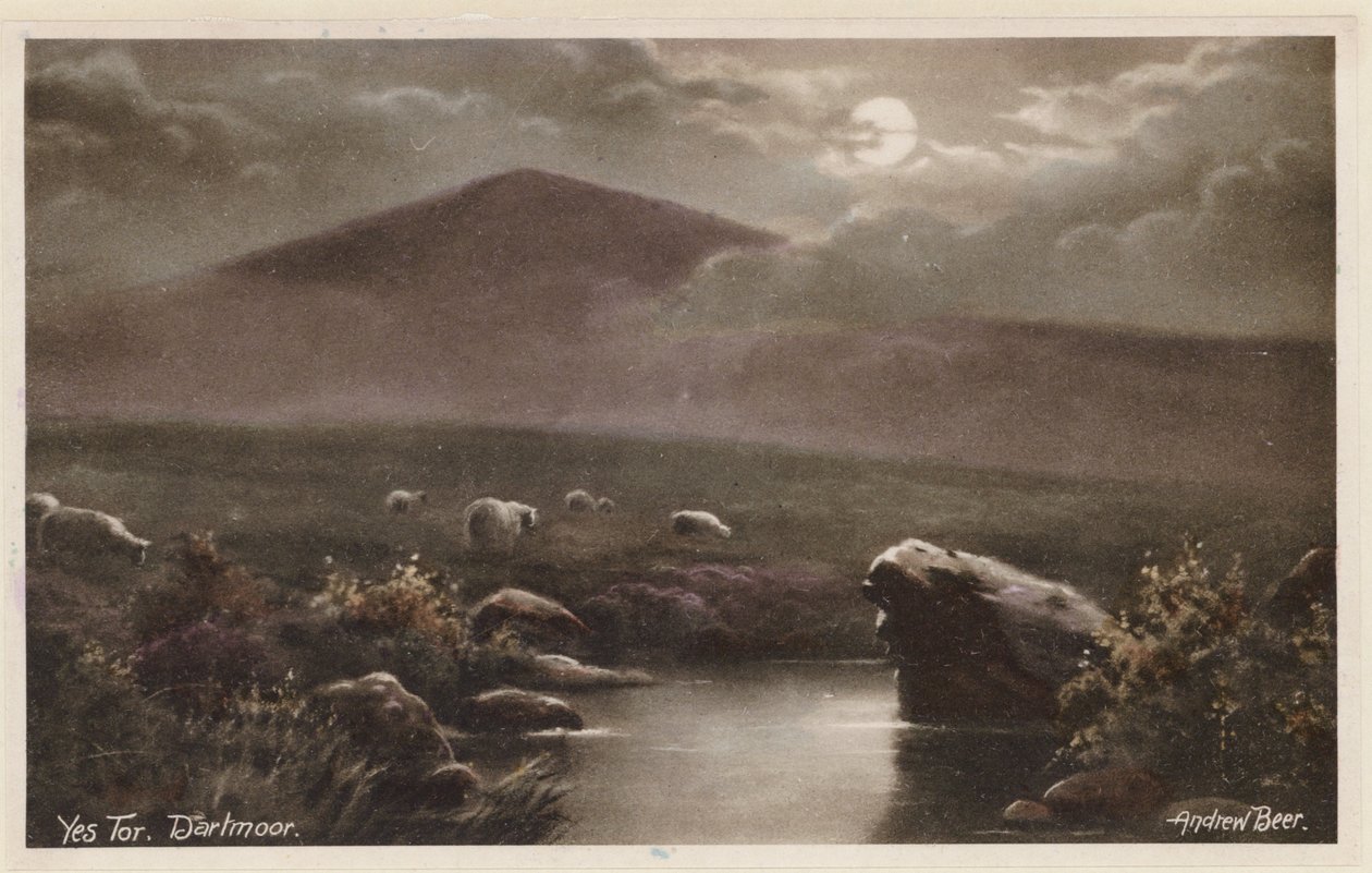 Yes Tor, Dartmoor (färgfoto) av Andrew Beer