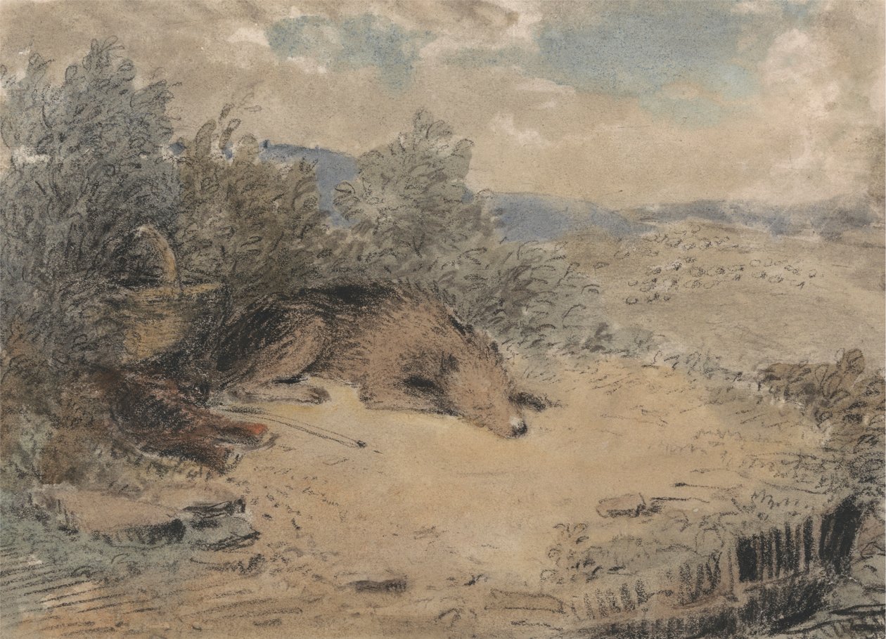 Fårhund sover i ett landskap av Andrew Geddes