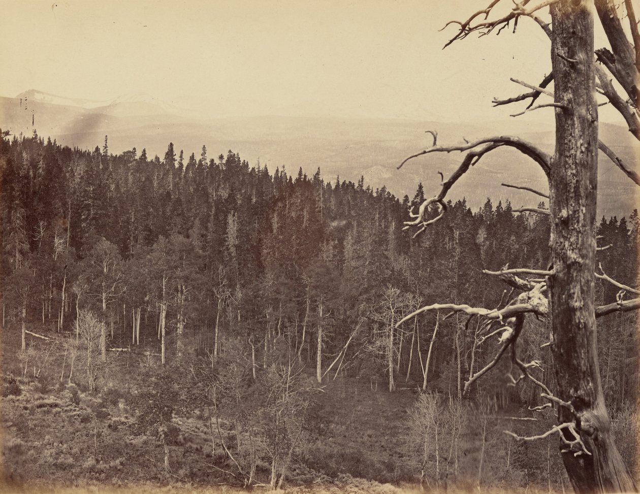 Plåt 13. Snö- och timmerlinje, Laramie Mountains,1869 (foto) av Andrew Joseph Russell