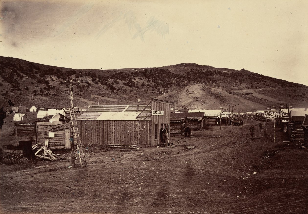 Plåt 29. Bear River City, nära kolgruvorna,1869 (foto) av Andrew Joseph Russell
