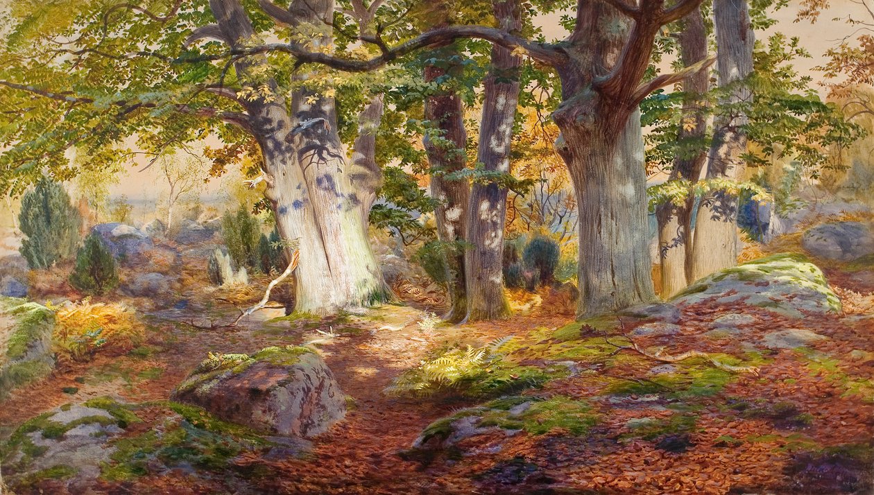 Höstsol efter regn, Fontainebleau (akvarell  bodycolour på papper) av Andrew MacCallum