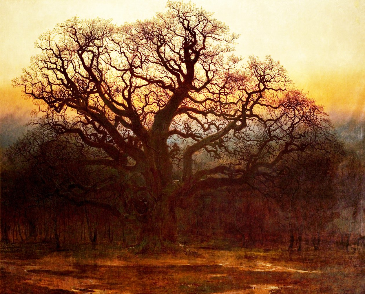 Major Oak, Sherwood Forest, Nottinghamshire, 1882 av Andrew MacCallum