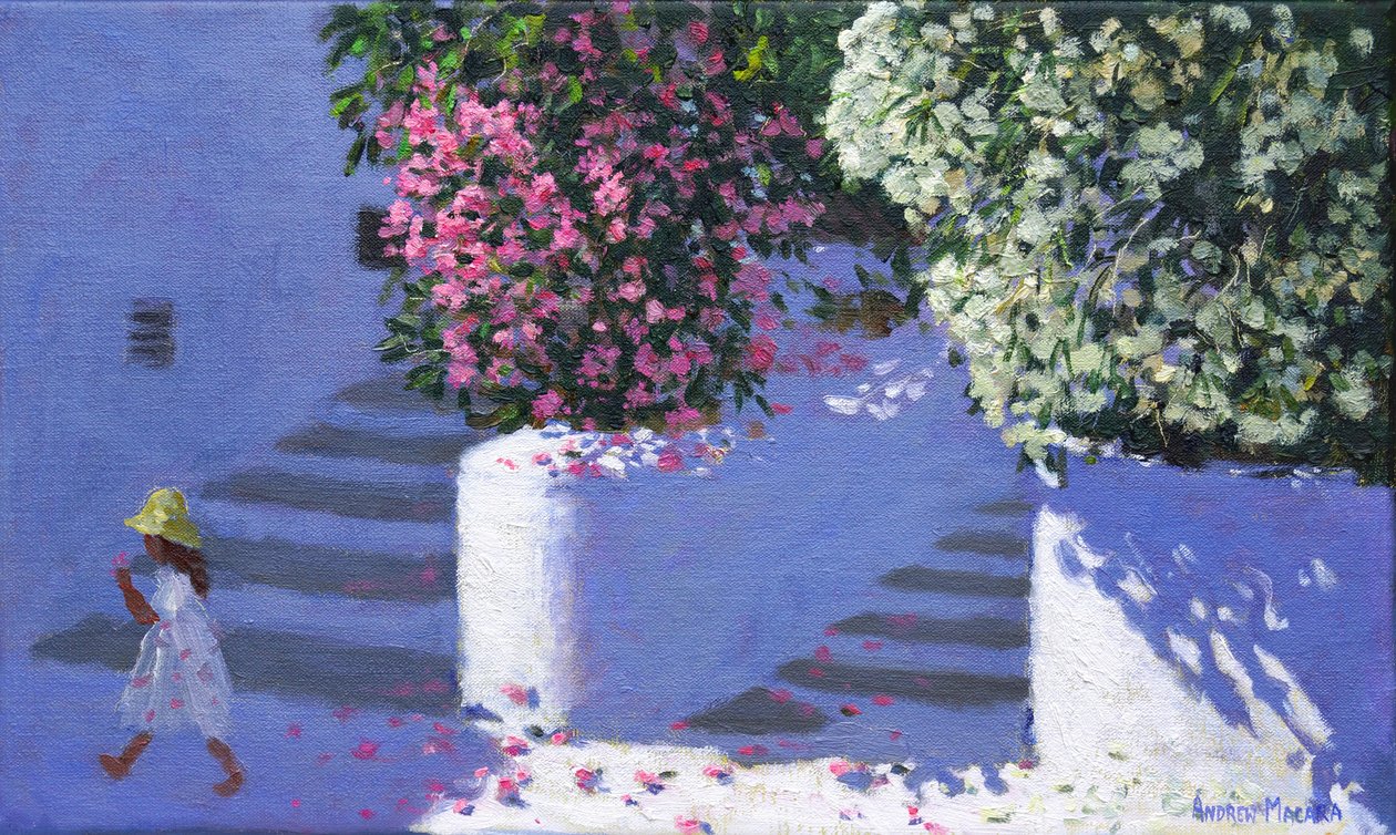 Bougainvillea, Anandas, Milos, Grekiska öarna, 2017, av Andrew Macara
