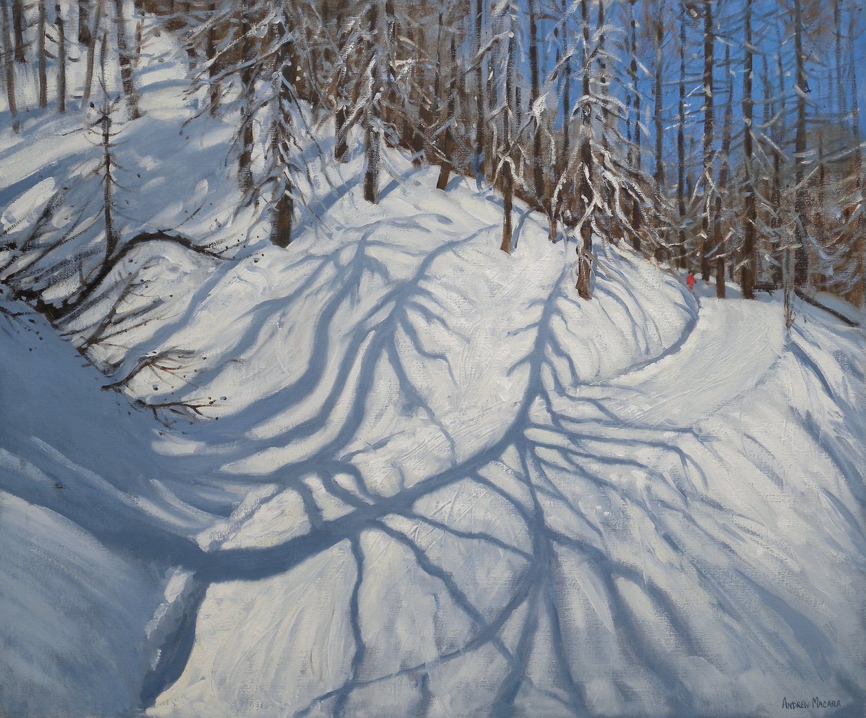 Gran Tree Shadows, Tignes, 2009 av Andrew Macara