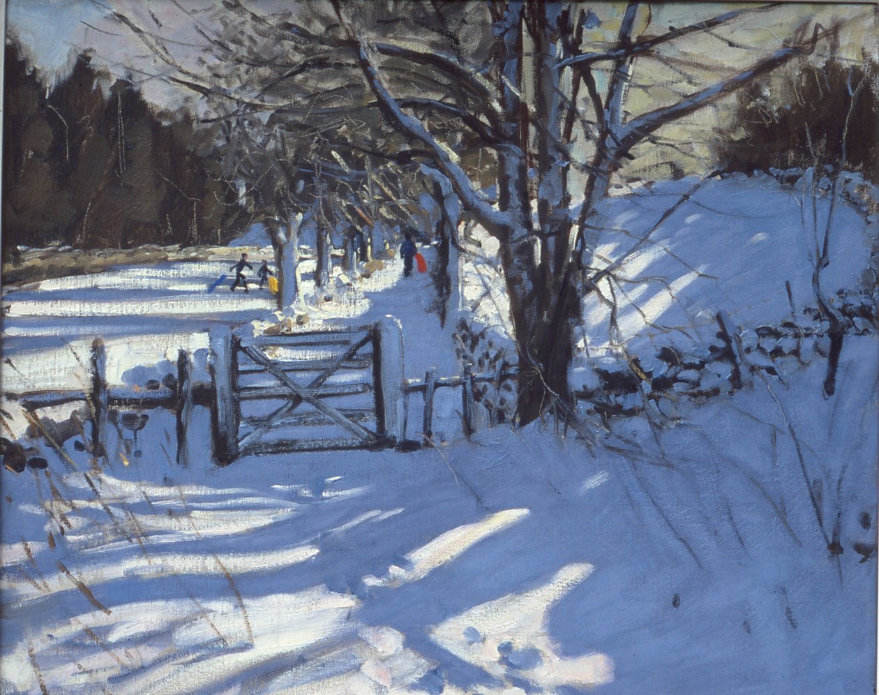 Gate nära Youlgreave, Derbyshire av Andrew Macara
