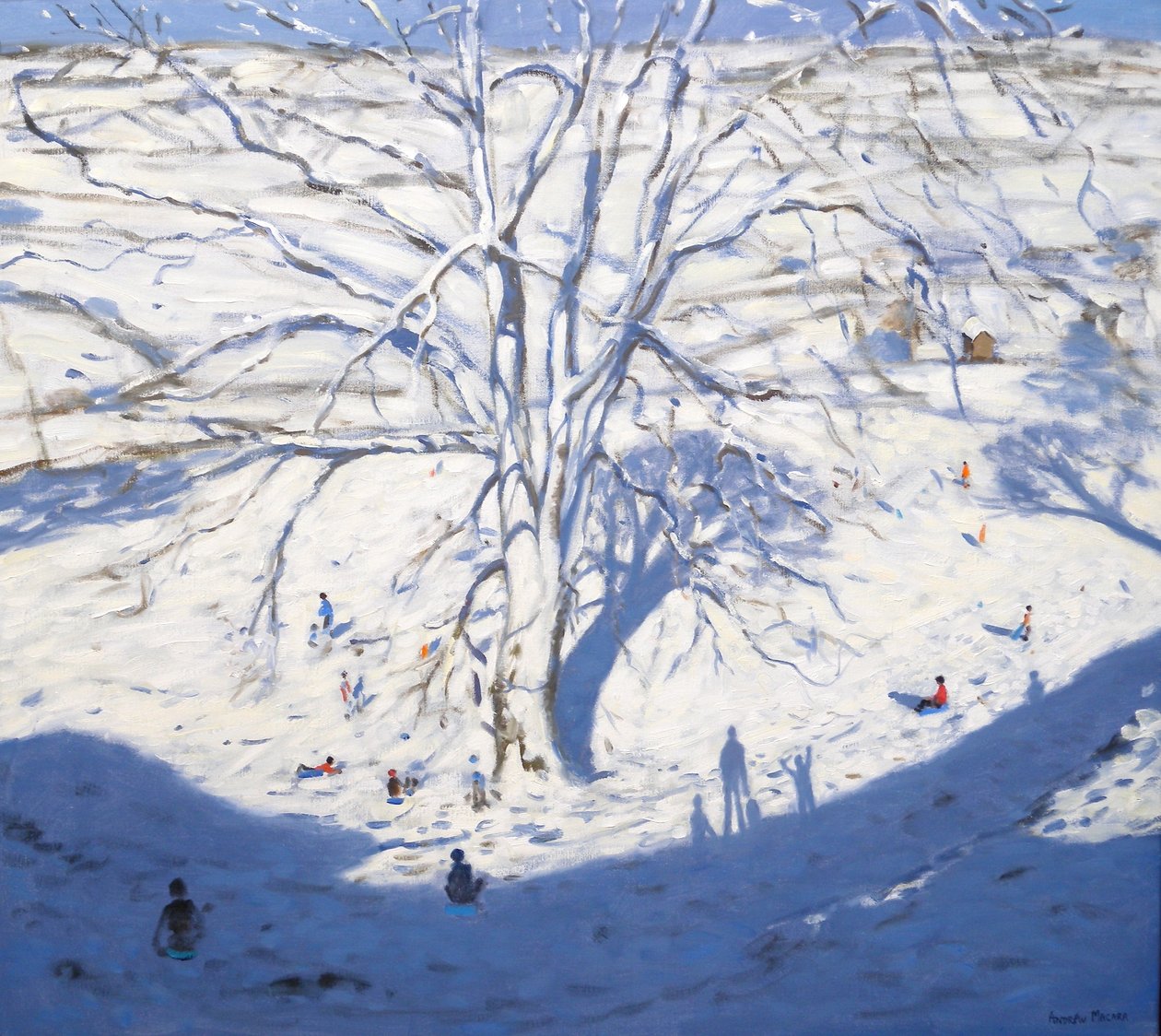 Hillside, Elton nära Rowsley, 2008 av Andrew Macara