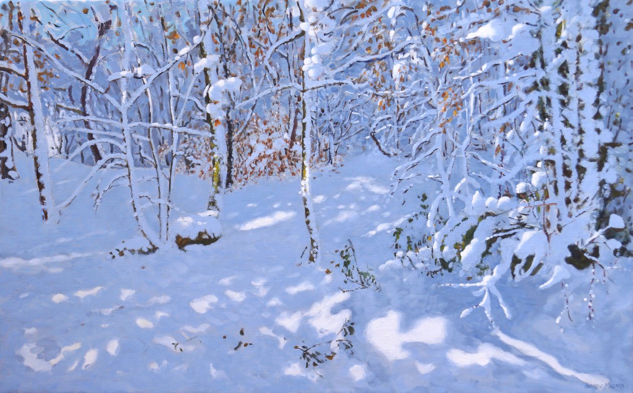 November Snow, Allestree Woods, Derby, (olja på duk) av Andrew Macara