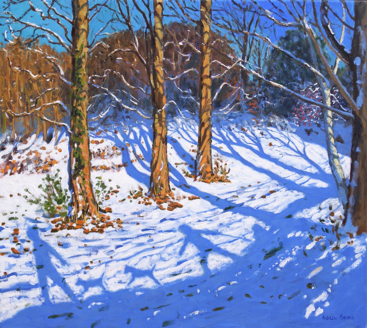 Novembersnö, Allestree Park, Derby, 2017, av Andrew Macara