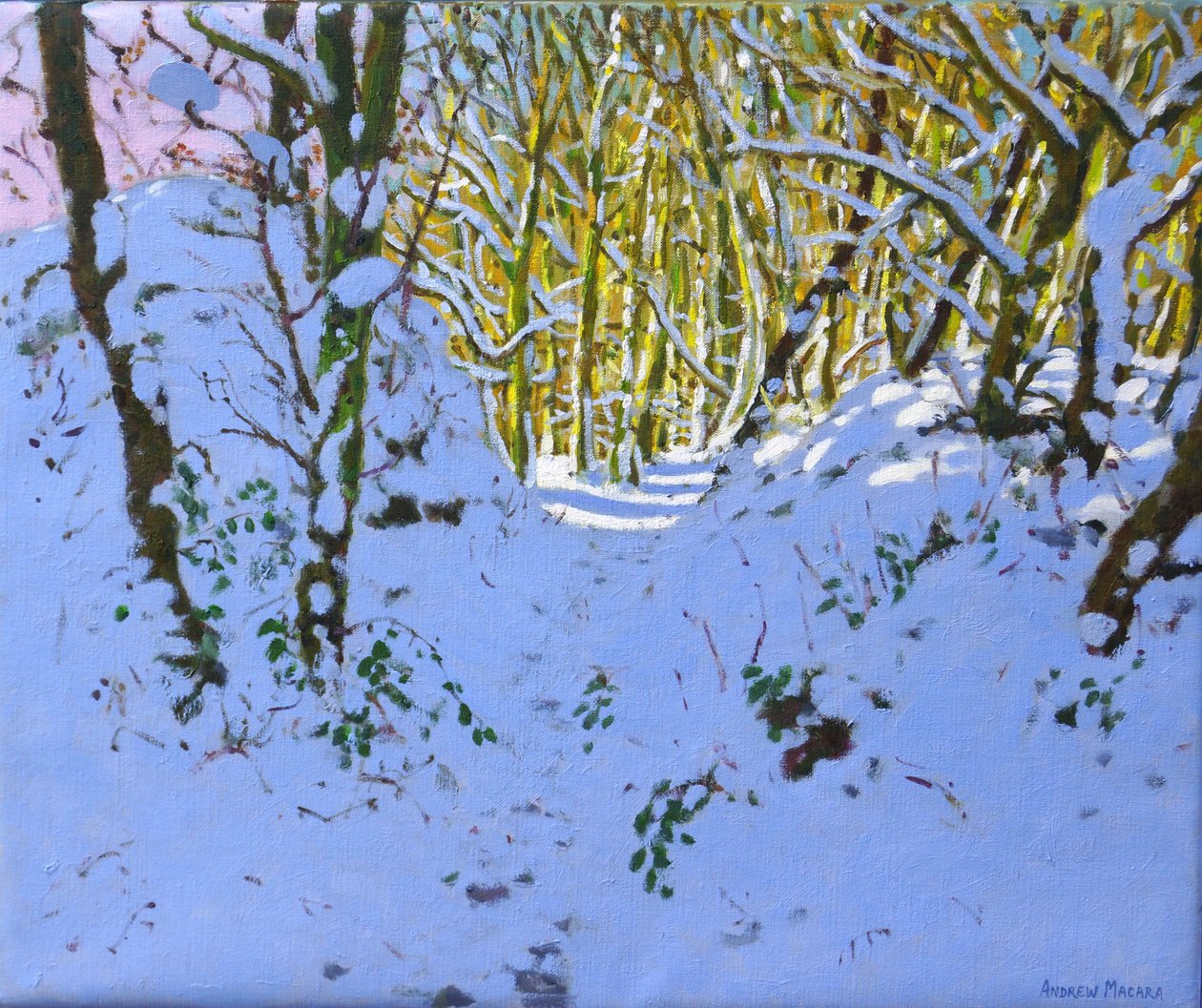 Vägen genom skogen på vintern, Derbyshire, (olja på duk) av Andrew Macara