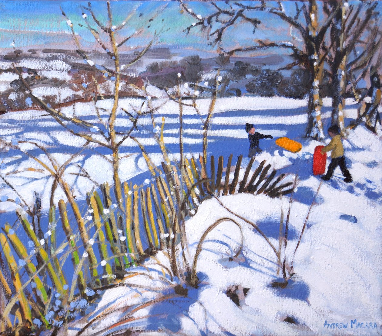 Röda och orange slädar, Derbyshire, 2017, av Andrew Macara